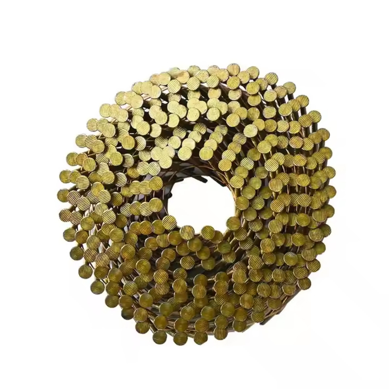 304 Stainless Steel Galvanized Screw Spiral Shank Coil Nails Pallets Coil Nails Clavos Helicoidal
