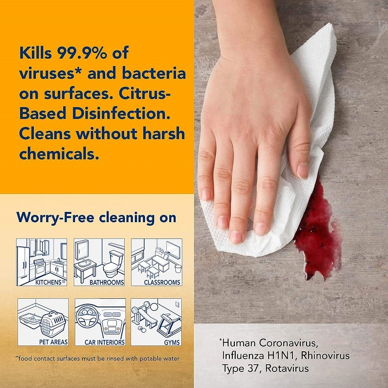 Premium Antibacterial Wet Wipes for Home and Travel Safety