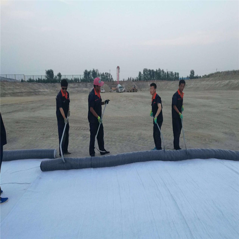 Bentonite Waterproof Pad Gcl Geosynthetic Clay Liners 4500GSM 4800GSM 5000GSM