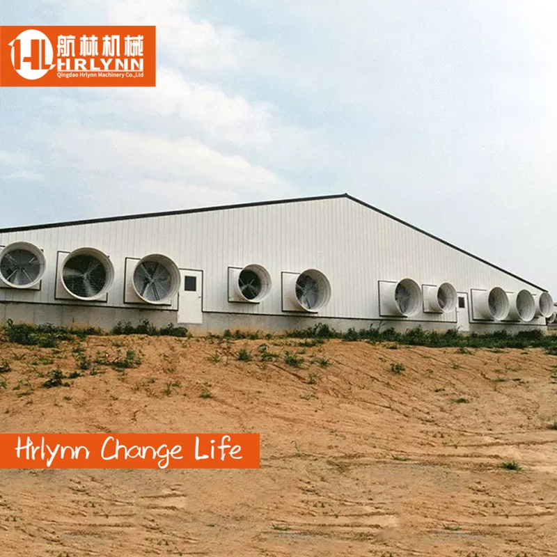 Steel Structure Broiler Chicken Coop House Poultry House