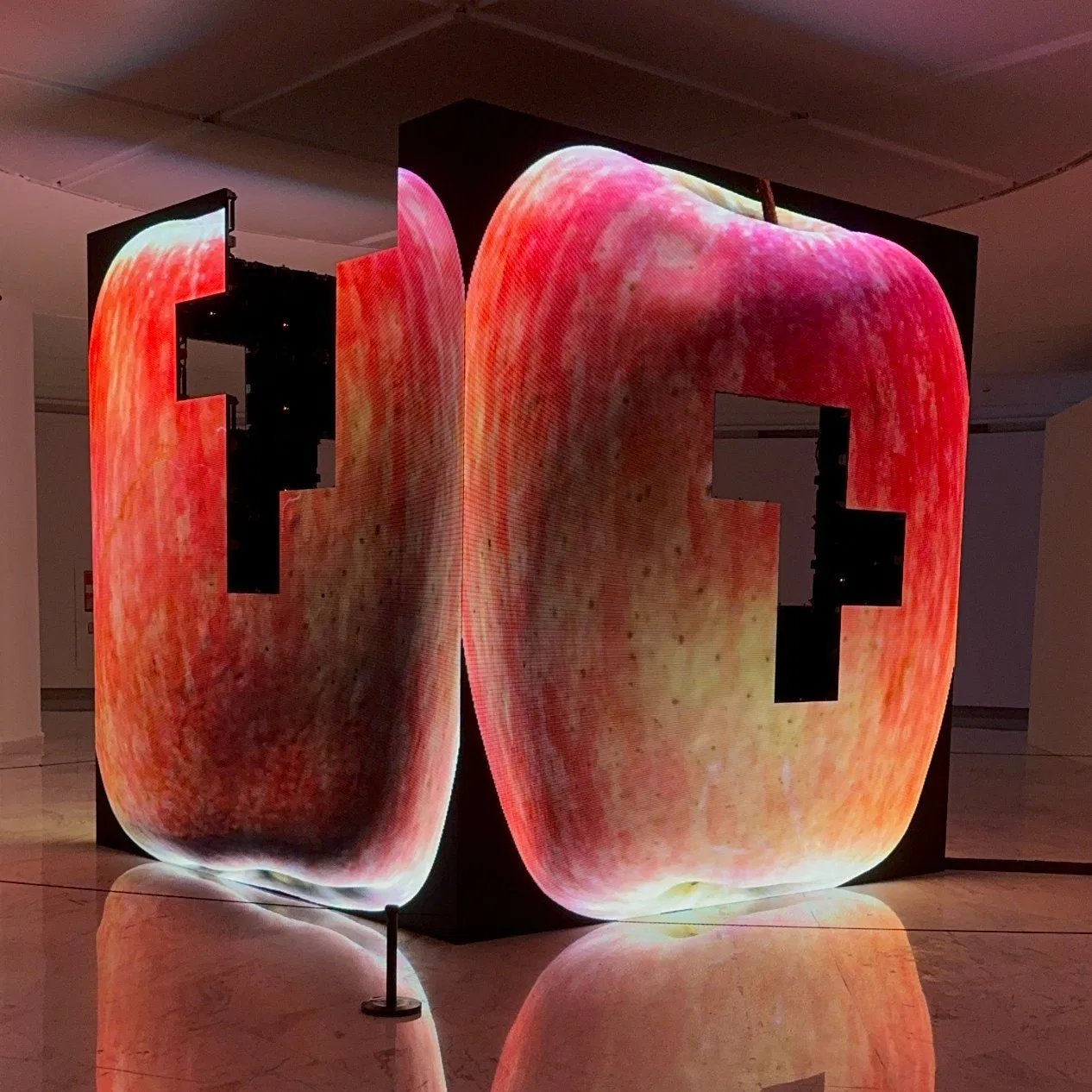 Full Sexi Video Indoor Flexible Special-Shaped Circle Rental Cabinet Display for Advertising