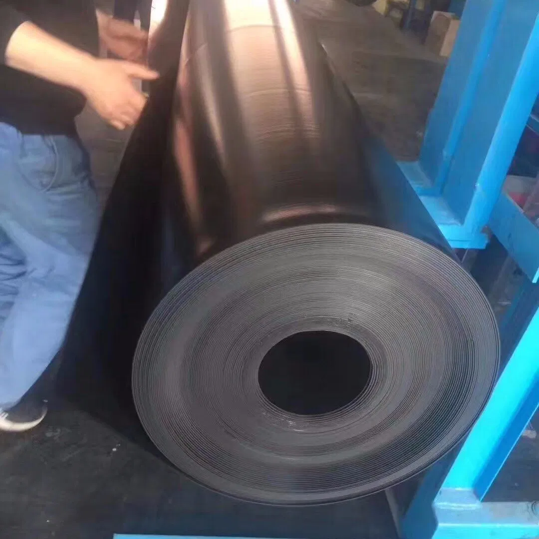 Top Quality HDPE Geomembrane Liner for Fisheries Pond and Artificial Lake