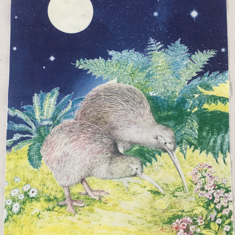 100% Cotton Kiwi 300GSM Digital Printing New Zealand Design Tea Towel Kitchen Towel