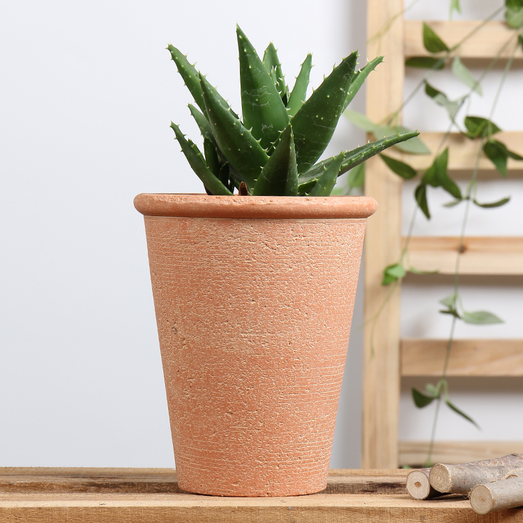 Classics Design Clay Terracotta Pots Planter Pots Wholesale