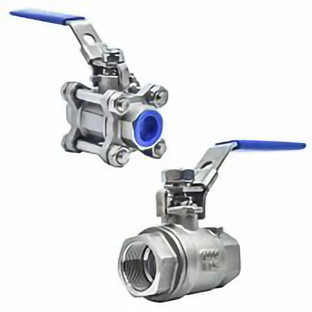 Stainless Steel 316/304 2PC Ball Valve with Locking Device
