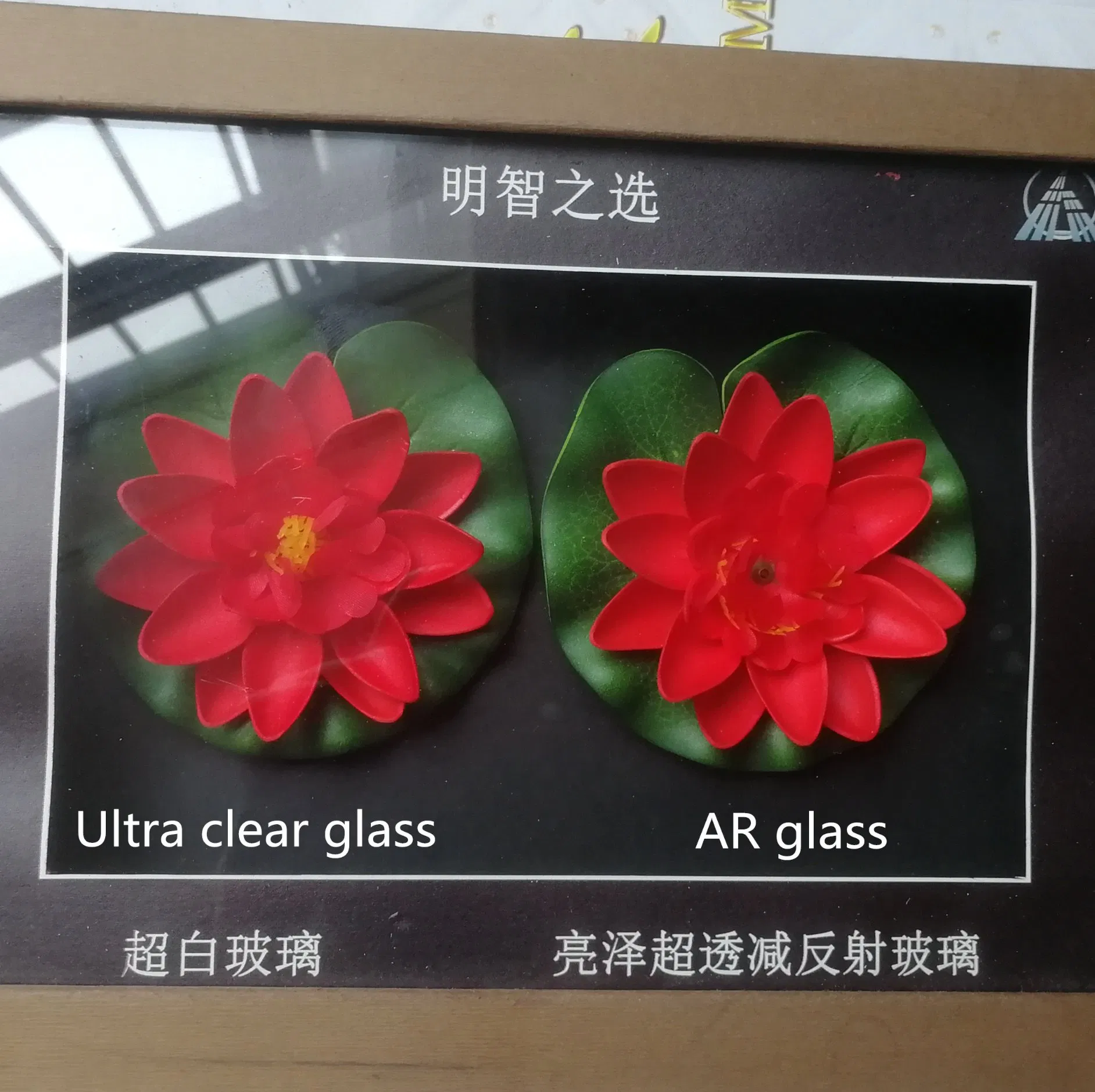 Double-Sided Coated Float Glass with 98% Anti-Glare Feature