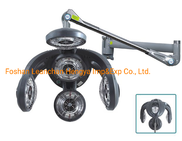 High Quality Function Salon Hair Dressing Dryer Wall Hanging Dryer