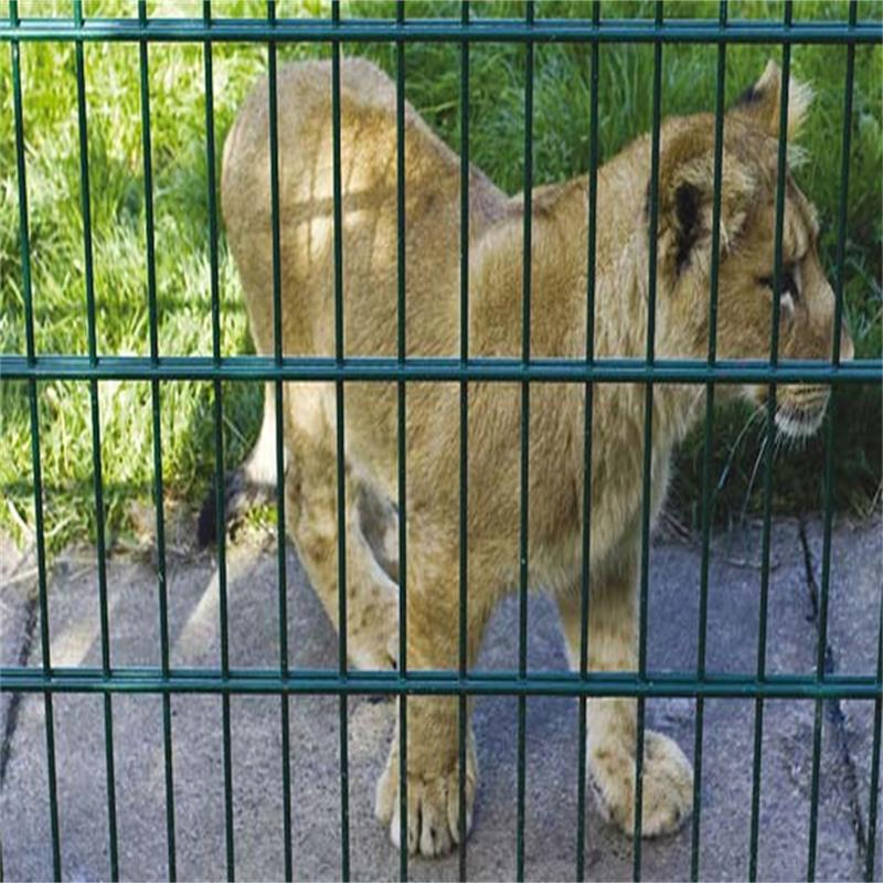 Used Chain-Wire Fencing Mini Mesh Promotion Double Gate PVC Coated Chain Link Fence