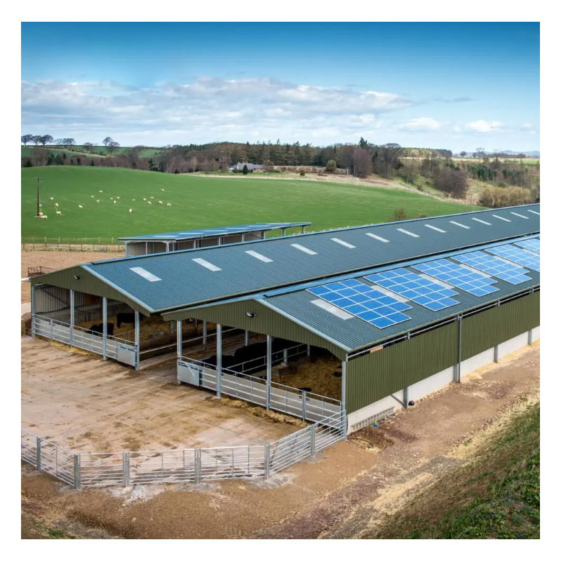 Storage Poultry Chicken Poultry Farm Shed Low Price Prefab Steel Structure Dairy Cow Shed