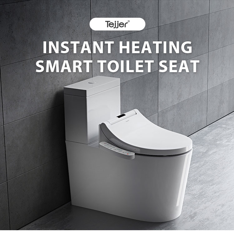 Elongated Side Panel Controlled Electronic Bidet Seat