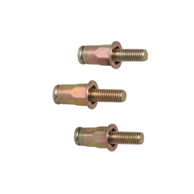 Customized Non-Standard High-Strength Expansion Bolts