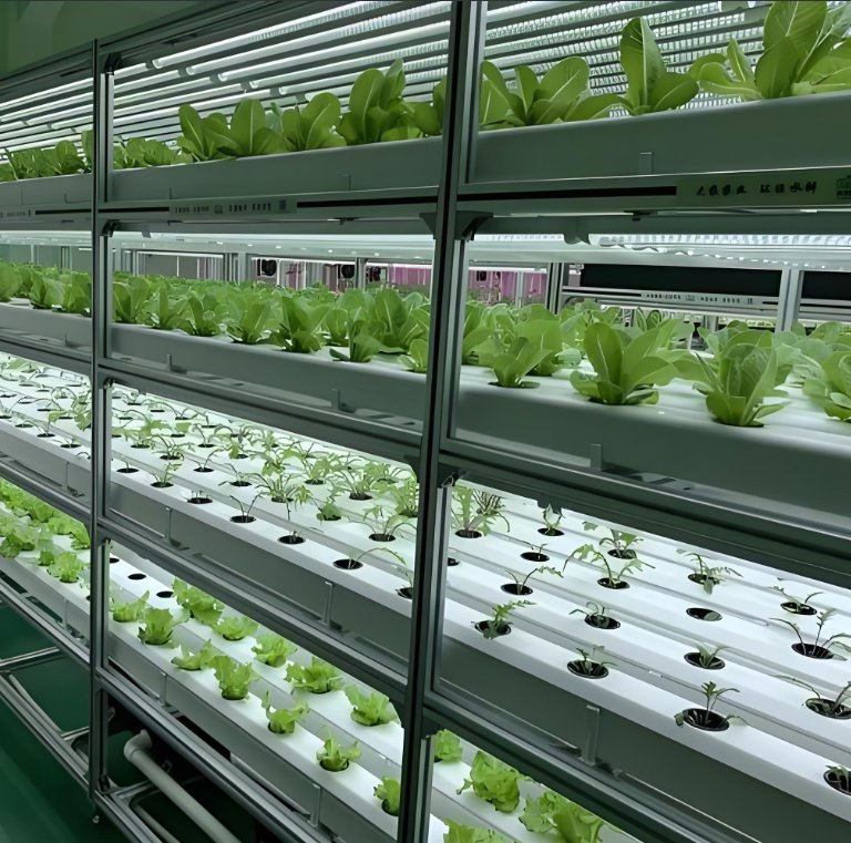 Constant Temperature and Humidity Smart Vegatable Growing Farming Pod for Aquatic Species