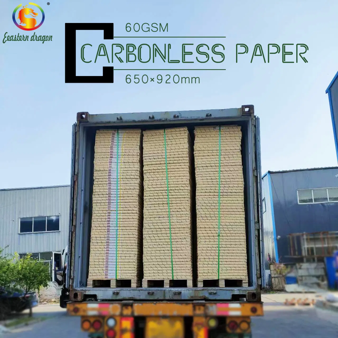carbonless 3ply continuous printing paper for pin mailer and confidential salary paper