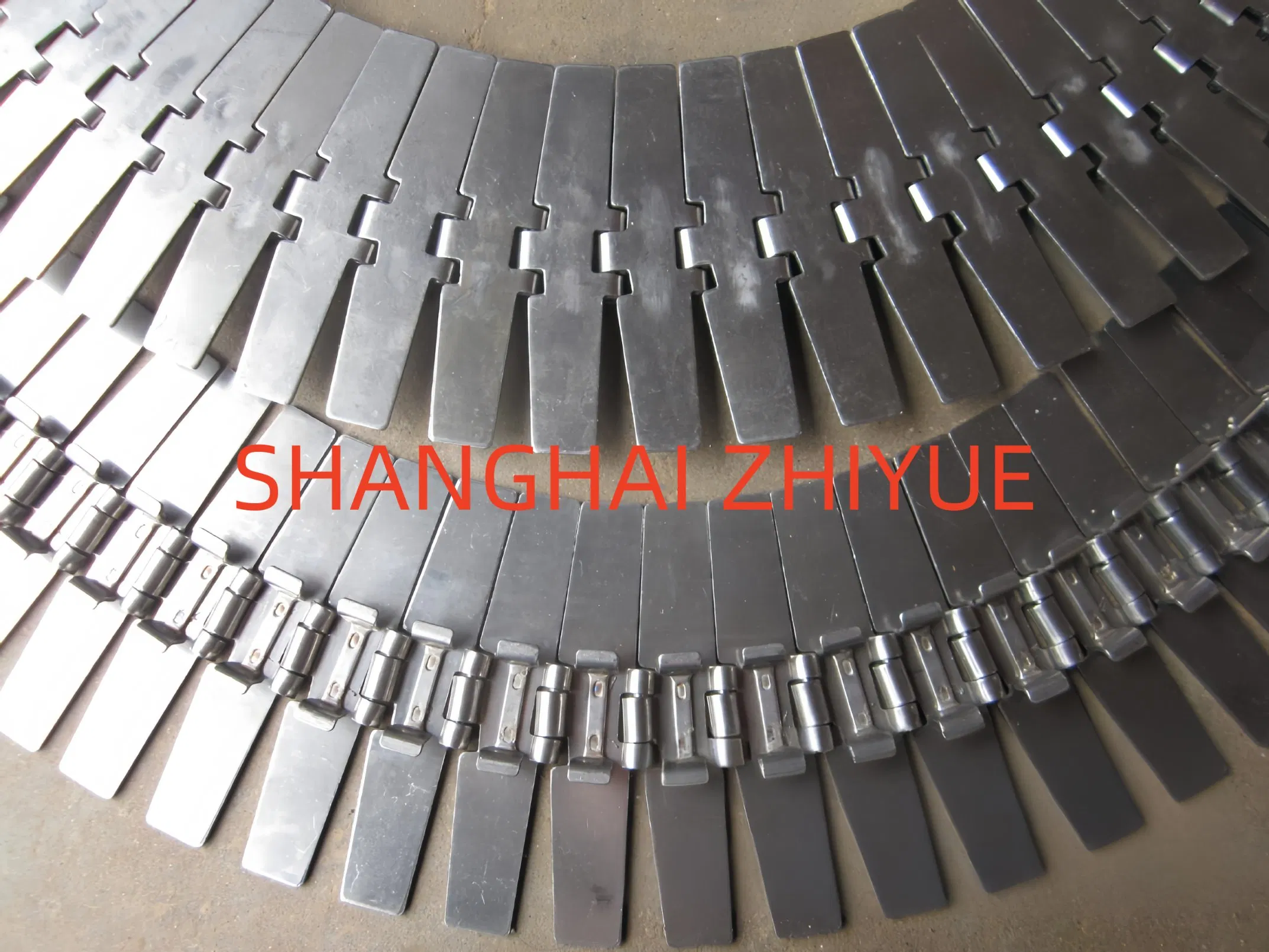 Ss881 Stainless Steel Sideflexing Chains Without Tab