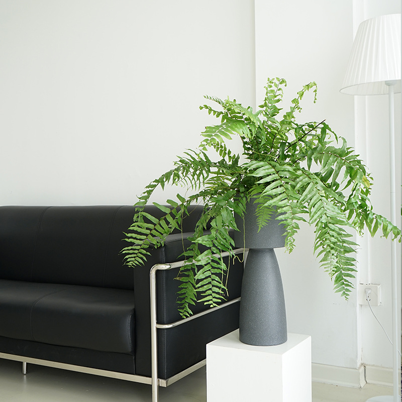 Elegant Matte Round Planter Kit for Stylish Home Gardens