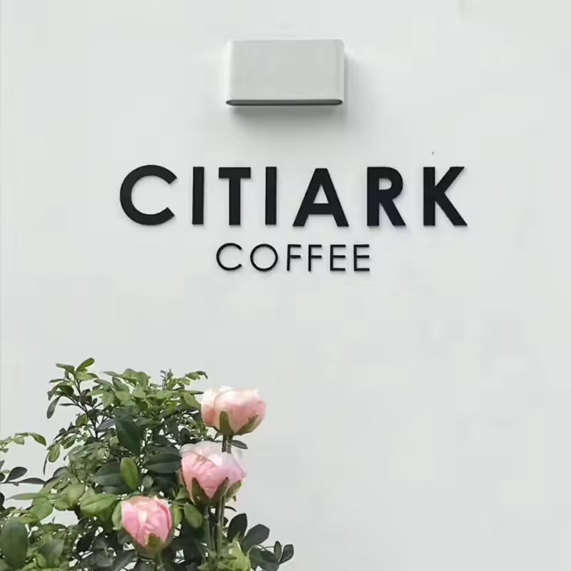 Customized Outdoor Advertising Sign Stainless Steel Letters 3D Small Metal Sign Letter