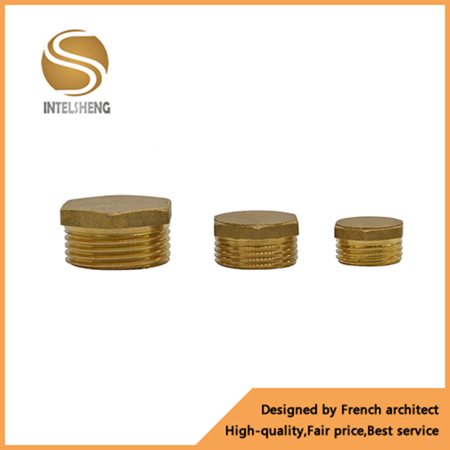 Male End Cap Brass Bush