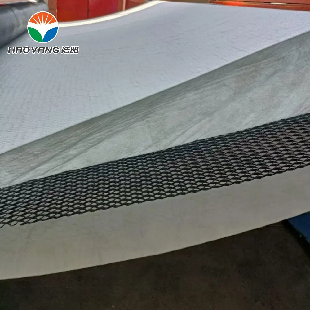 Fast Construction and Installation, HDPE Composite Geonet Be Used in Landfill Drainage