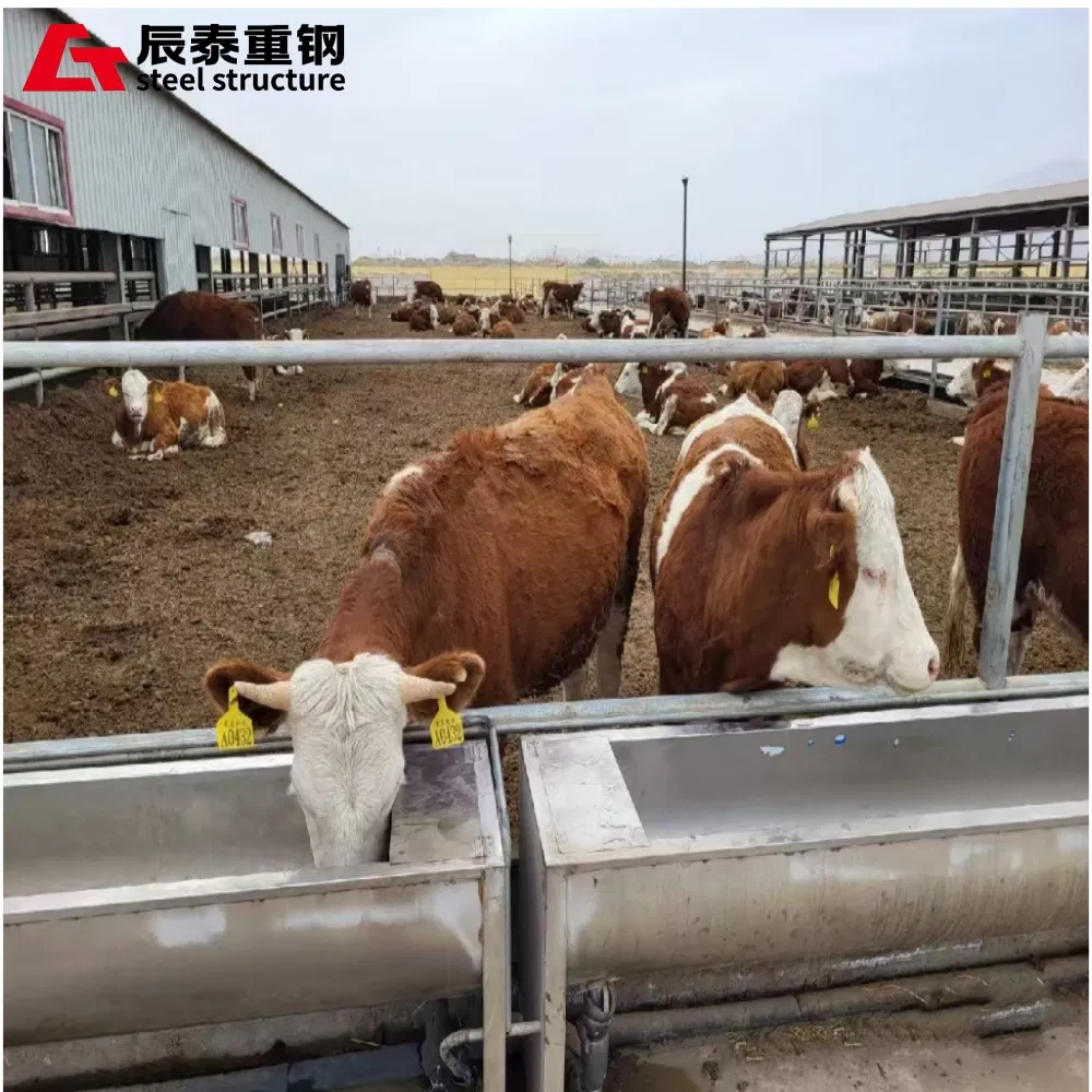 Professional Custom Long-Span Portal Steel Frame Structure Steel Structure Farm Is Used for Chicken Coop Cowshed