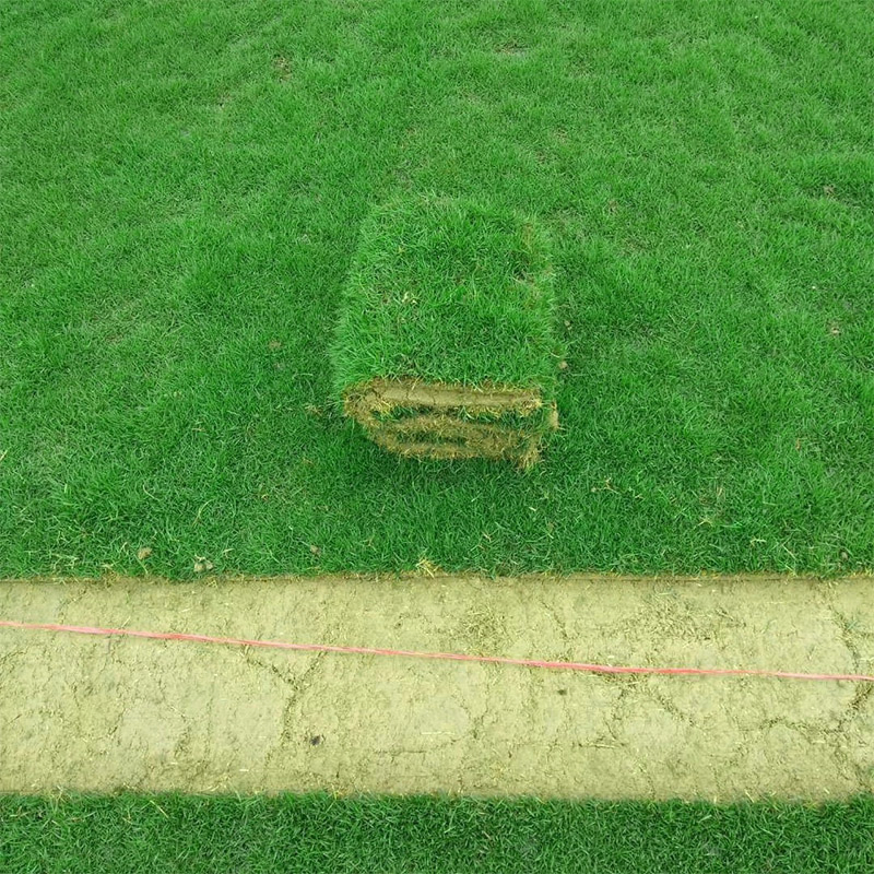 Cutting Neatly Turf Drawing Machine / Sward SOD Lawn Marker Machine