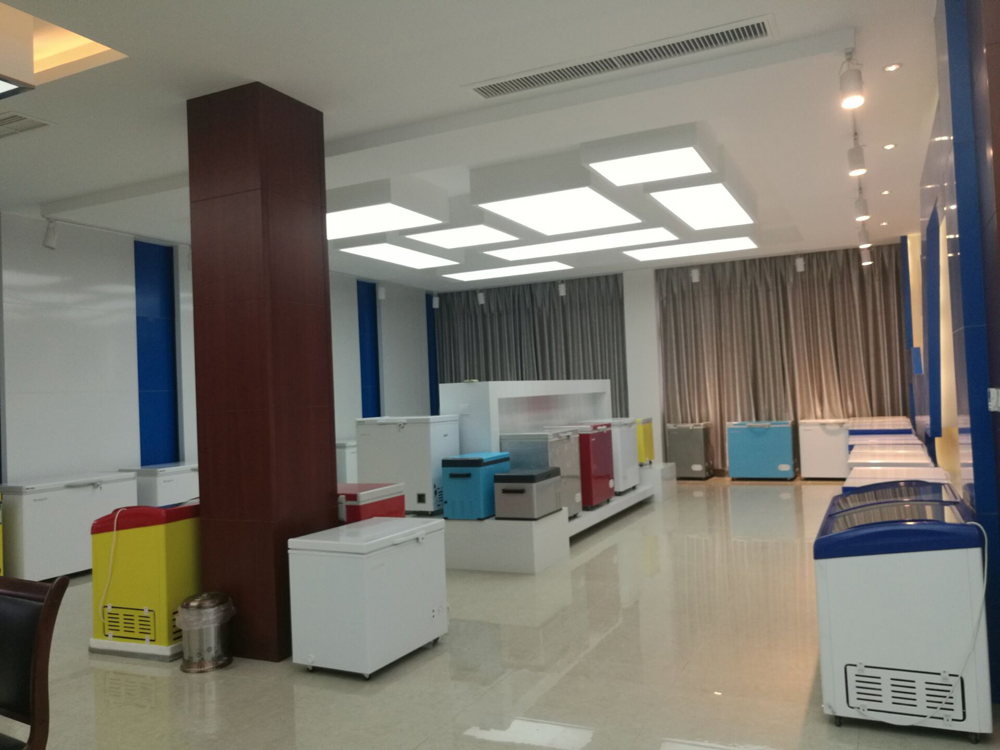 232L Fridge and Frozen Solar DC Chest Freezer