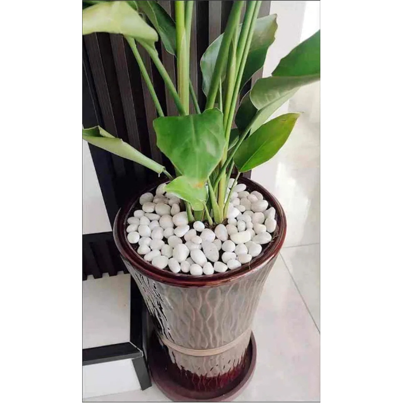 Polished White River Stone Natural Cobble Pebble for Kitchen Round Shape White and Black Varieties Available