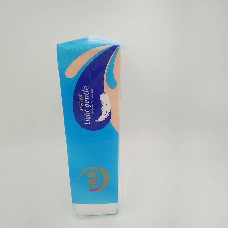 Sustainable Soft Toilet Paper for Daily Comfort and Care