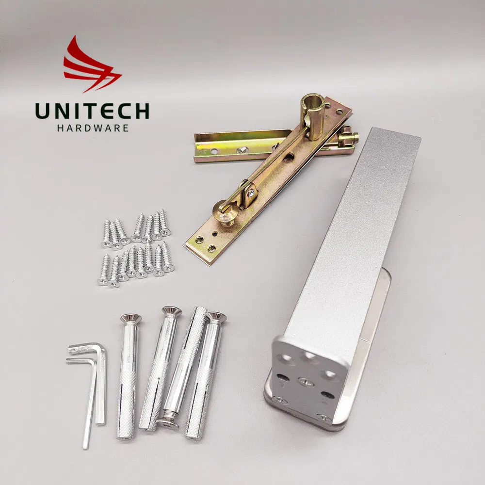 No Digging Door Closer Hydraulic Wooden Door Patch Fitting Floor Spring Hinge