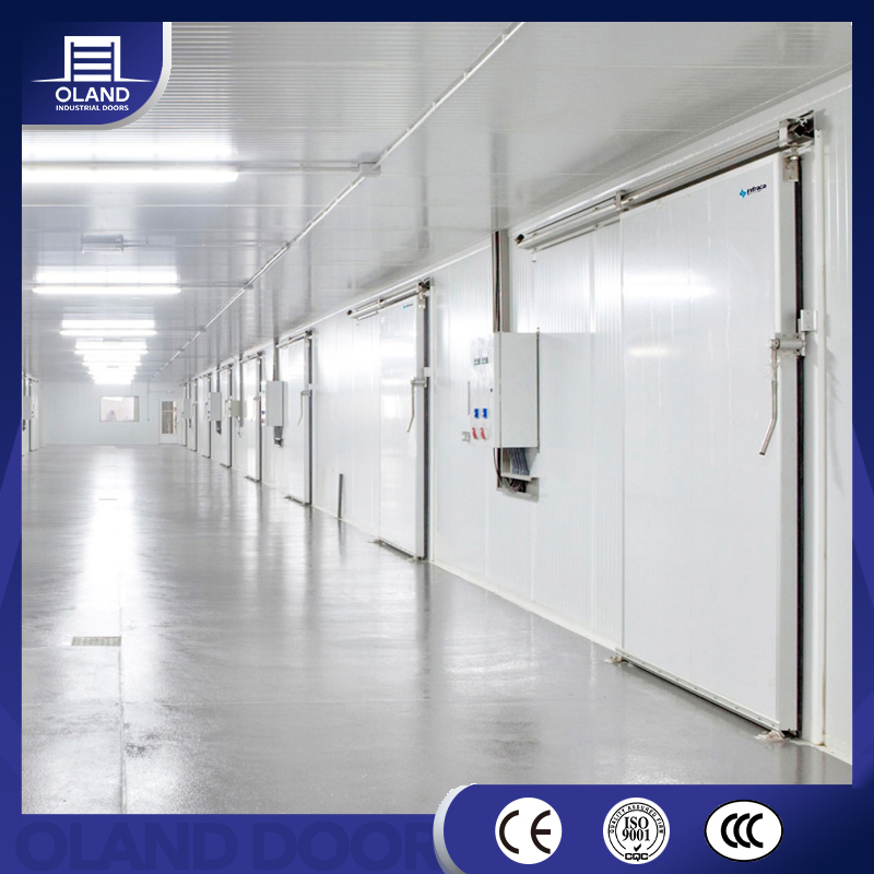 Low Temperature Walk in Cooler Cold Storage Sliding Door Customized Galvanized/Stainless Steel Thermal Insulation Health Care Freezer Room for Hospital Workshop