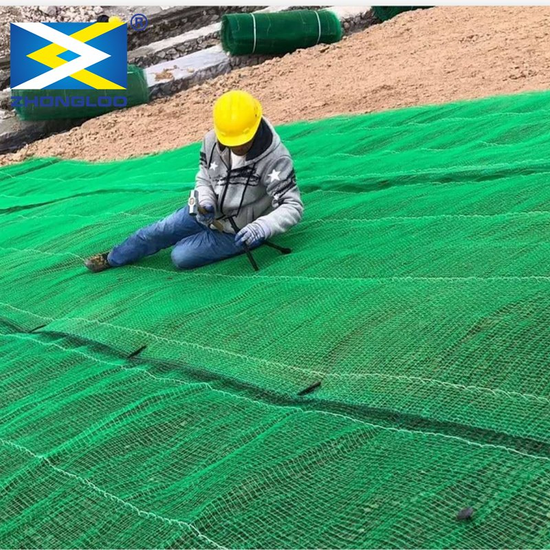 Erosion Control Mat 3D Plastic Geomat Three-Dimensional Geomat