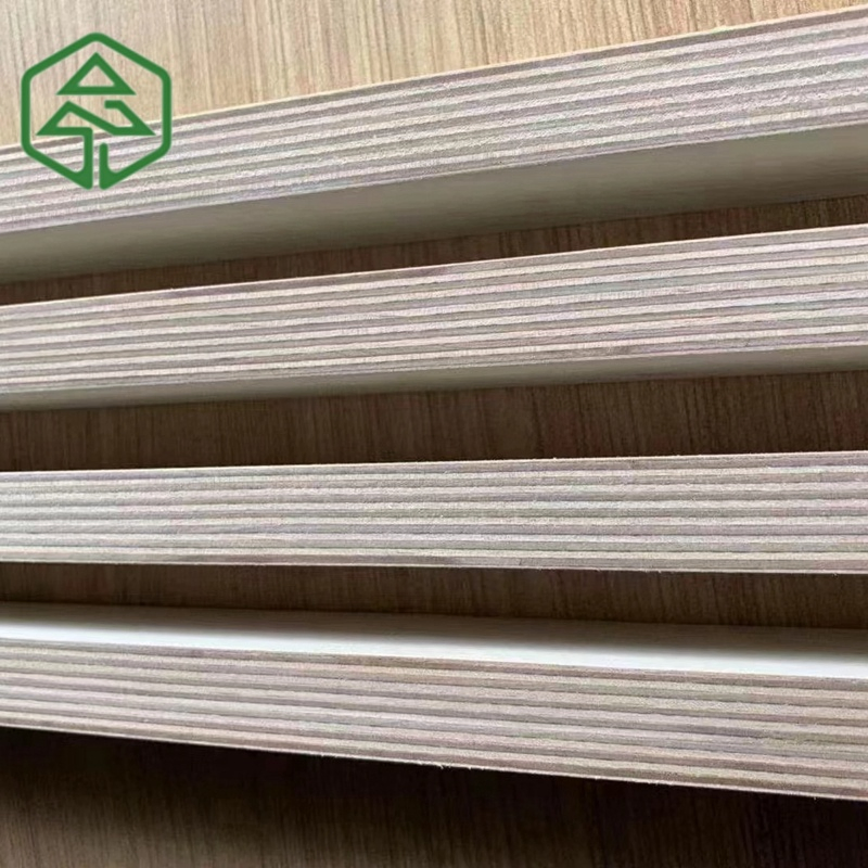 Premium White Birch Plywood for Export to Mexico and USA