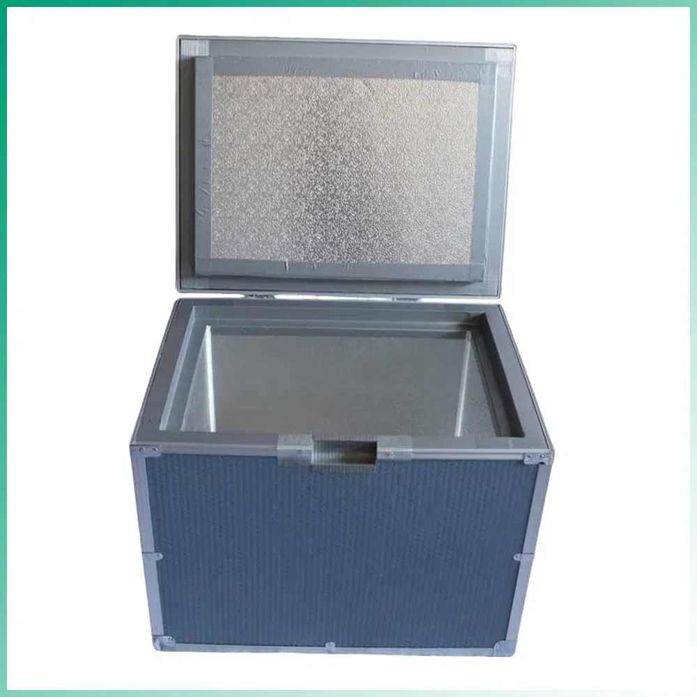 Portable EPS Vacuum Insulated Thermal Cold Box Insulated Box for Cooler Chain Logistics