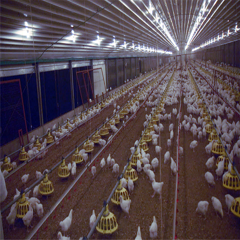 Portable Building Steel Structure Boiler Chicken Poultry Farm House