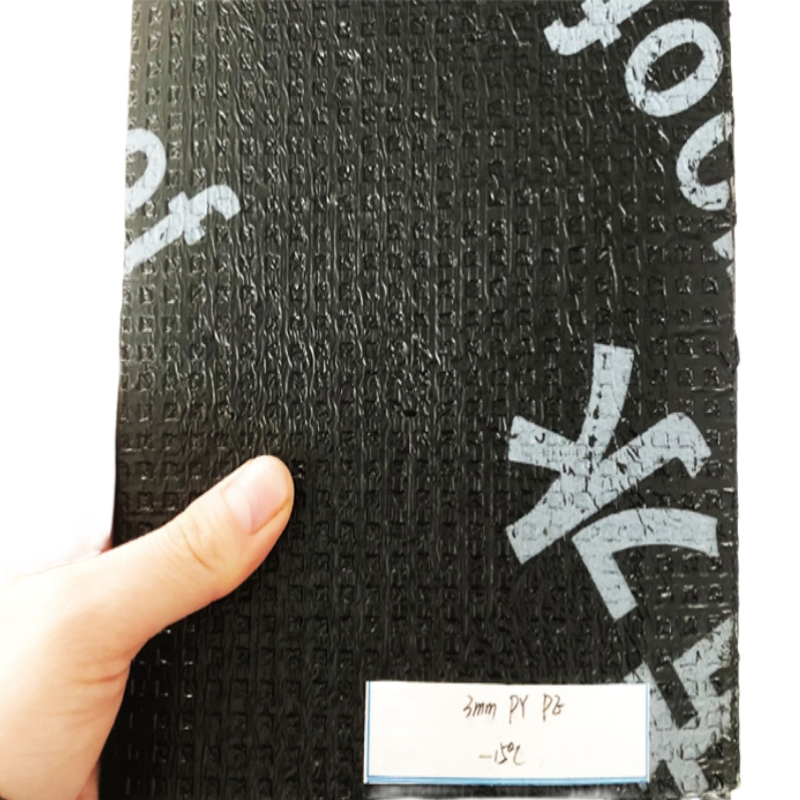 Torched on Sbs APP Sheet Modified Bituminous Asphalt Bitumen Waterproofing Roofing Membrane