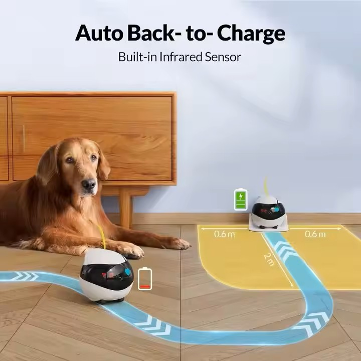 Autonomous Mobile Intelligent Pet Companion Robot with Camera Voice Control