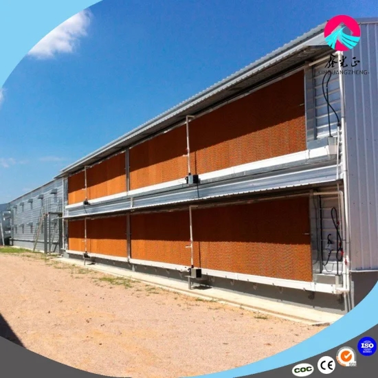 Environmentally Friendly High-Yield Automatic Large Farm Feeding System Equipment