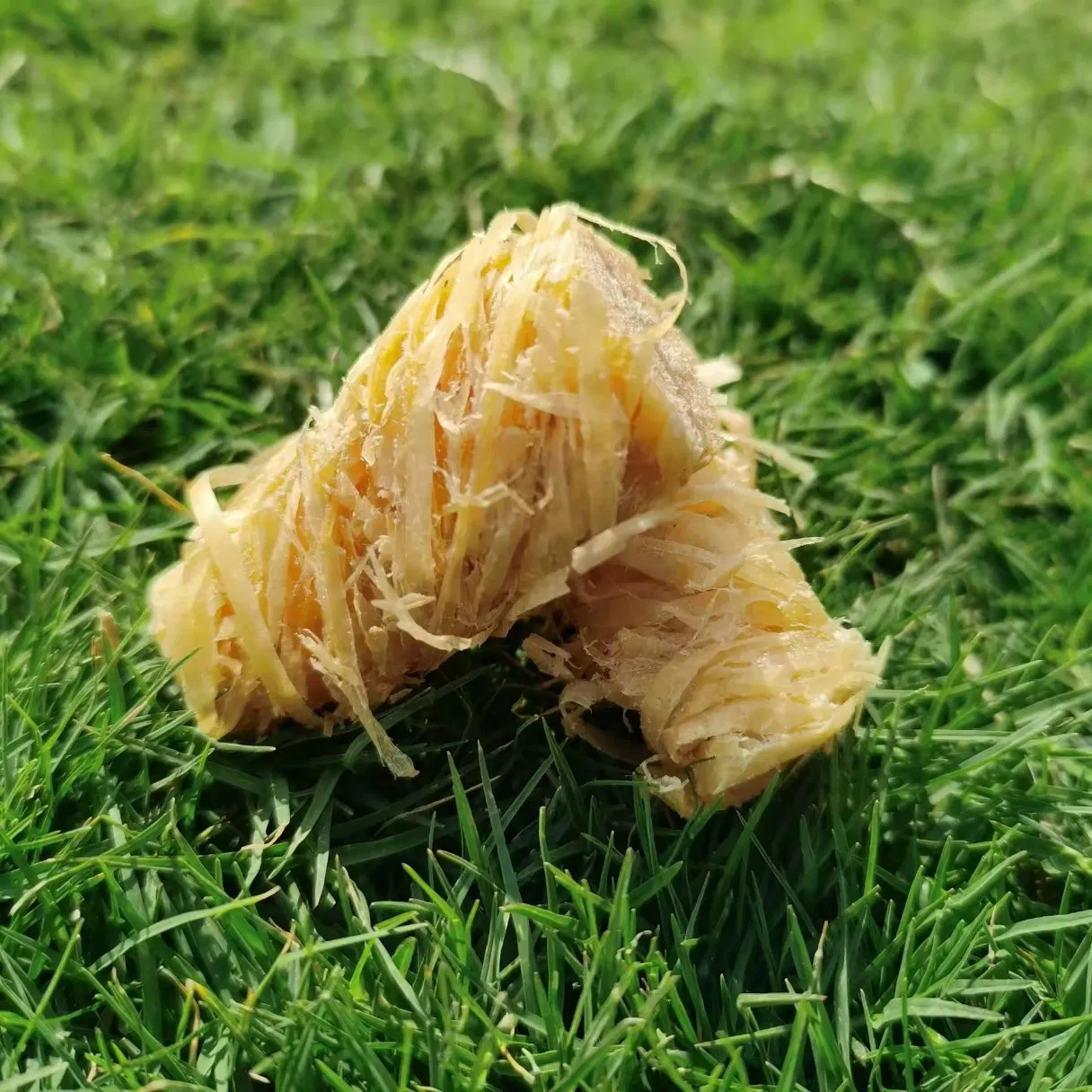 100% Natural Fire Starters for BBQ, Campfire, and Charcoal