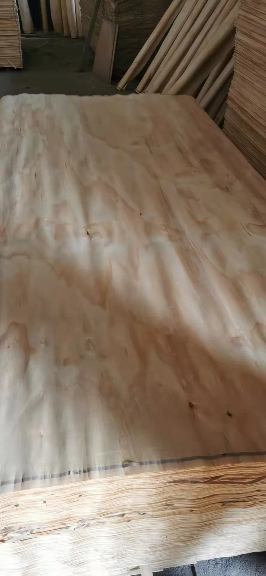 1270-2500mm Pine Wood Veneer Pine for Plywood