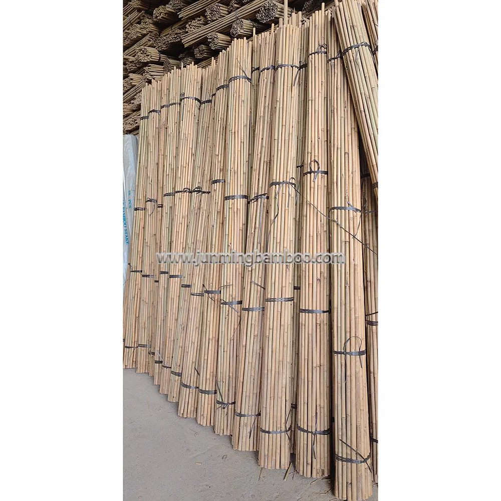 Tonkin Bamboo Cane Garden Stake Tsinglee Nature Raw Bamboo Poles Cheap Price Dia. 22/24mm X 300cm