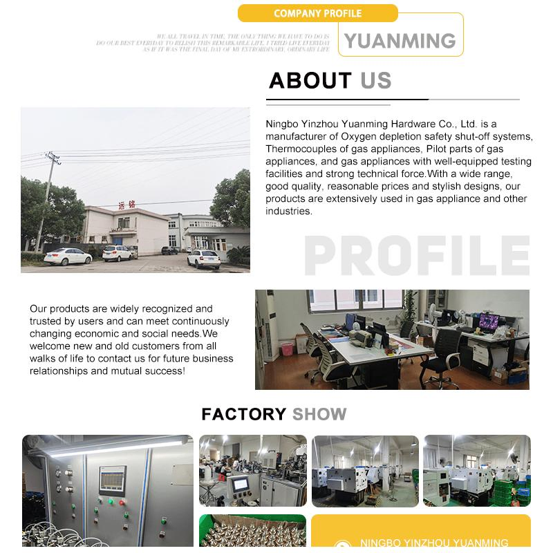 Ods Pilot Burner Assemblies with Electrode