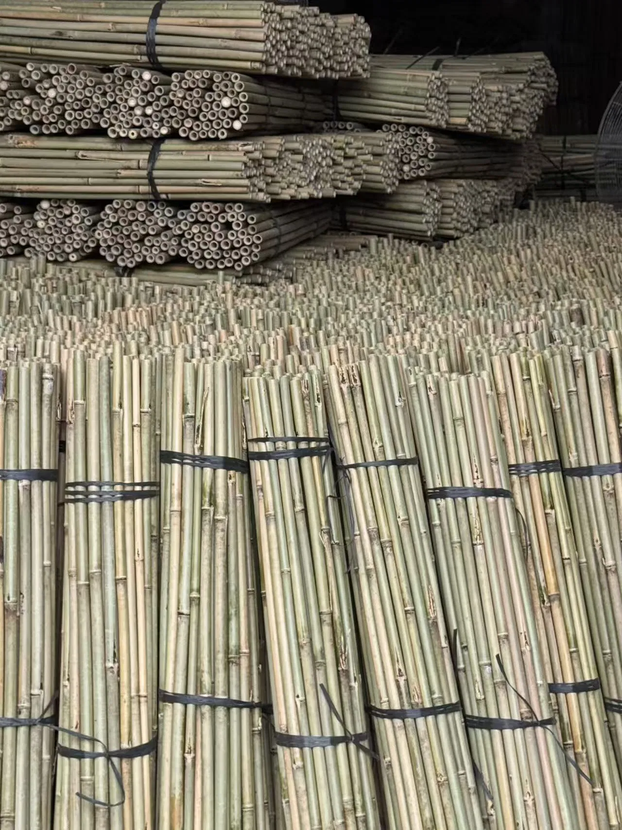 Factory Hot Sale Natural Bamboo Raw Materials Bamboo Pole Cane Stakes for Horticulture Plantation Support