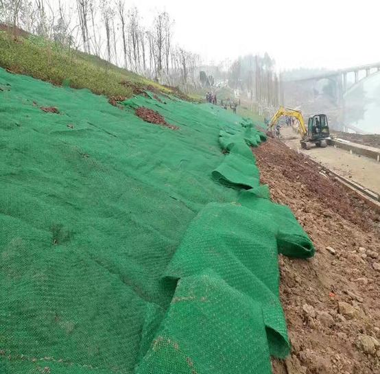 Composite Drainage Geonet for Landfill Proejct with Factory Price/Landfill Drainage HDPE Slope Protection Geonet