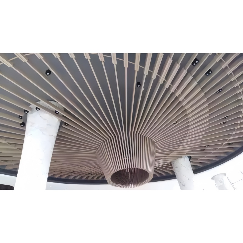 Customized Interior Decoration Aluminium Curved Ceiling Panel for Foshan