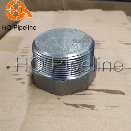 High Pressure 3000#/6000# Forged Stainless Steel 304/316 Hex Bushing