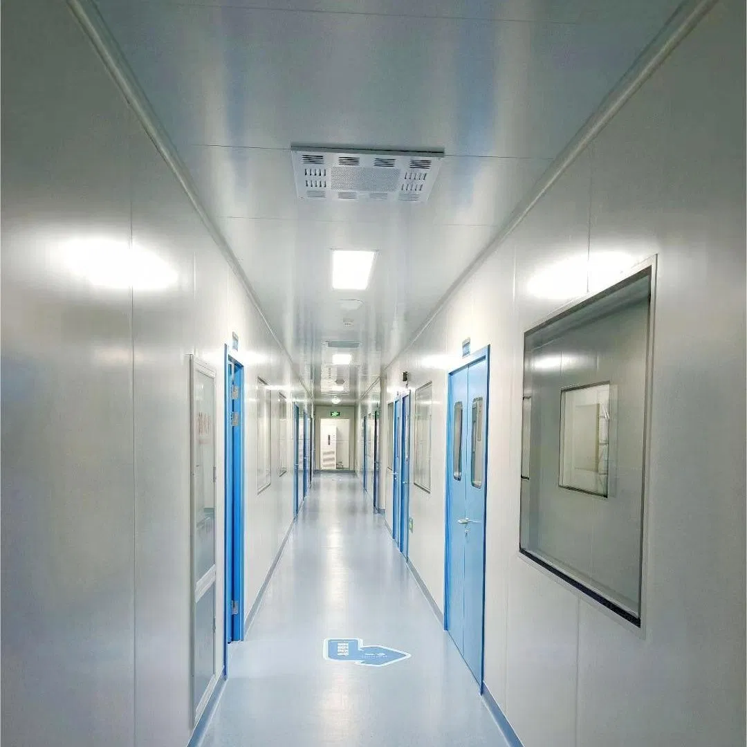 Glare-Reducing High Airtightness Stainless Steel Clean Room Window