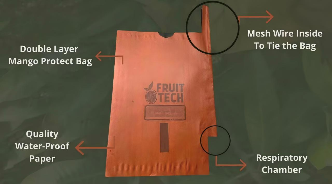 Kraft Packing Food Custom Wholesale Brown Paper Bag Packaging