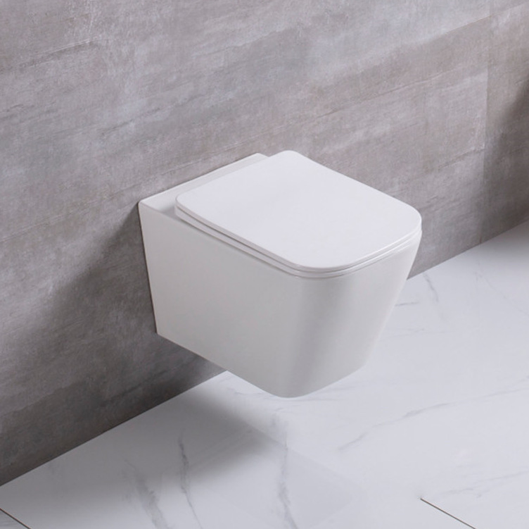 Wall-Mounted Concealed Cistern Elongated Toilet Bowl Dual-Flush Ceramic Wc with Seat Cover
