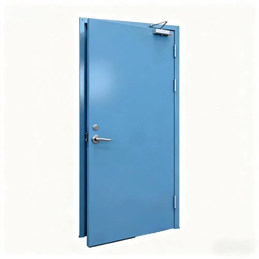 Fire-Rated Galvanized Steel Door with Auto Closer- Commercial Grade for Office & Retail Use