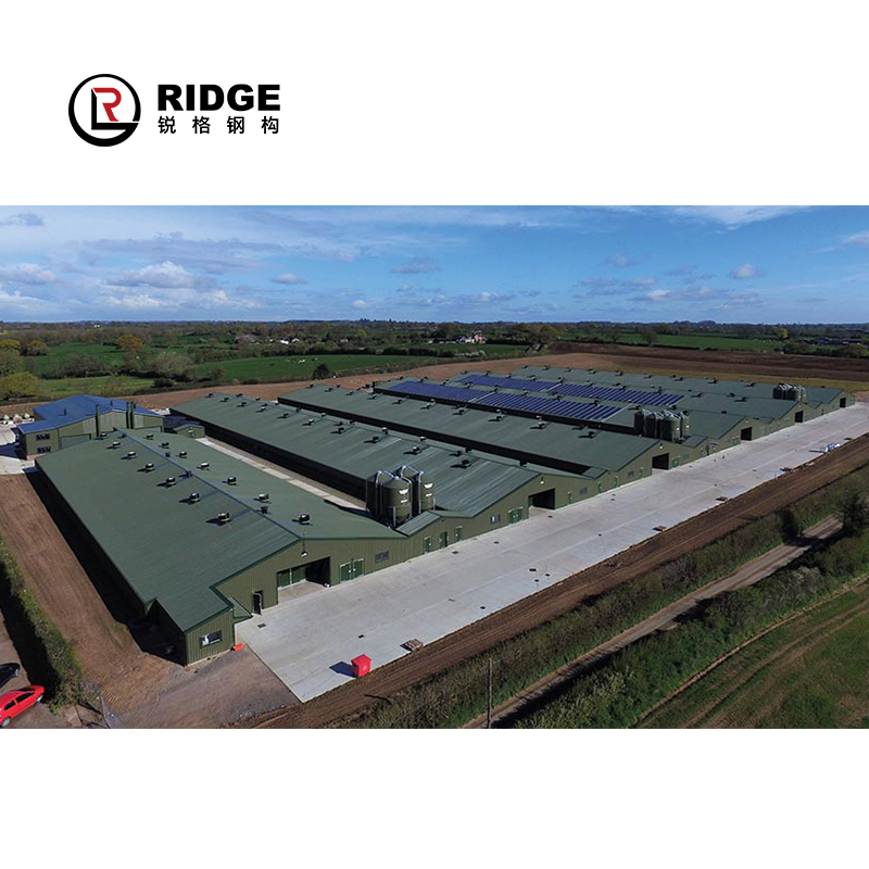 Steel Structure Prefab Chicken Cow House Design Shed Poultry Farm