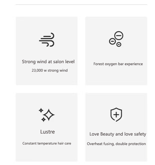 New Design Factory High Power Hair Dryer Negative Ion